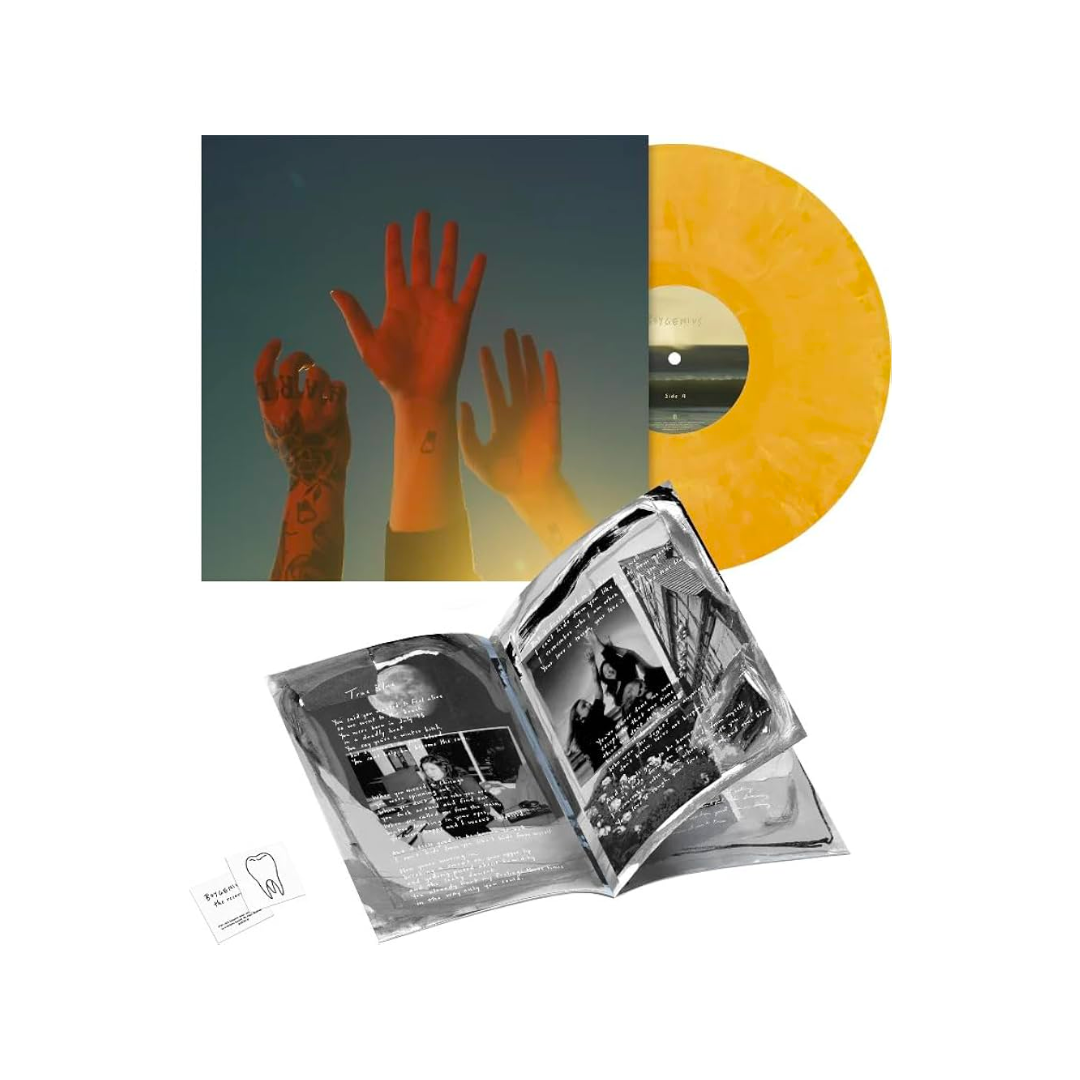 The Record - Limited Spotify Fans First Custard Swirl Vinyl